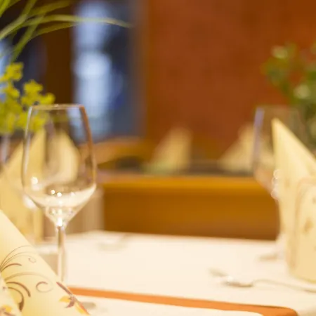 호텔 Restaurant Zur Neroburg 3*